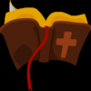 The Holy Bible Facts icon