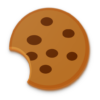 Save Cookies icon