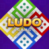 Ludo Gang King of Ludo icon