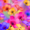 Beautiful Flowers HD Wallpaper icon