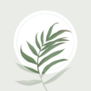 Blossom – Plant Identifier icon