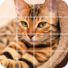 Tile Puzzle: cute cats icon