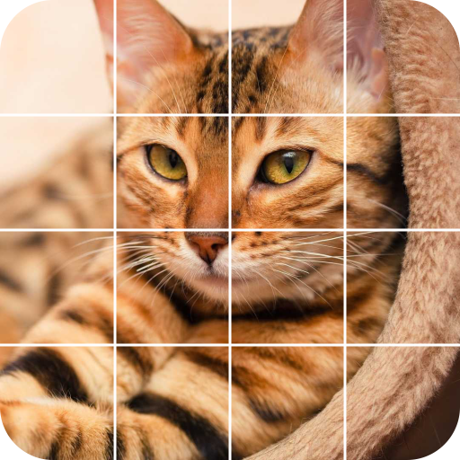 Tile Puzzle: cute cats icon