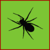 Insect Killer icon