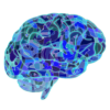 Brain icon