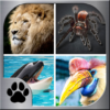 Memory Match Jungle Animals icon