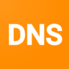 DNS Smart Changer Web filter icon