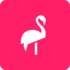 Flamingo Scooters icon