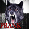 Prank Angry Wolf icon