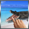 Biting Crocodile LWP icon