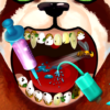 Become An Animal Dentist icon