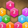 Hexa Sort Puzzle icon