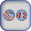 Kt/V (Daugirdas) Calculator icon