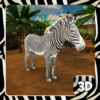 zebra 3D jungle simulator icon