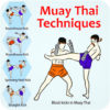 Muay Thai Techniques Training icon