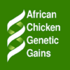 Smallholder Poultry Feed App icon