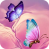 Butterfly Wallpapers icon