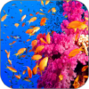 Coral Aquarium Video LWP icon