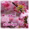 كلمات الصباح والمساء icon