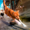 Cat Hunting Sim Game icon