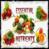 Essential Nutrients for Health icon