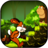 Jungle Bunny Run icon