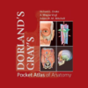 Dorland's Gray's Pocket Atlas of Anatomy icon