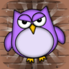 Tiny Owl icon