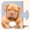 Dogs & Puppies Puzzles icon