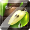 Fruit Slice icon