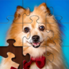 Sort Puzzle Jigsaw icon