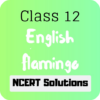 Class 12 English Flamingo NCERT Solutions icon