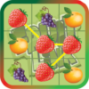 Fruit Link icon