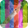 Colors Insta Photo Effects icon