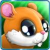 Hamster Runner icon