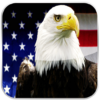 The USA Constitution Audiobook icon