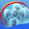 Winter Flowers Live Wallpapers icon