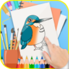 Little Bird Coloring Book icon