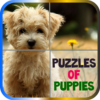 Puzzles of Puppies Free icon