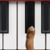 Dog Piano icon