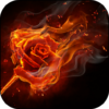 Burning Roses Live Wallpaper icon