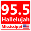 95.5 Hallelujah fm icon