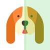 DoggyApp Identify Dog Breeds icon