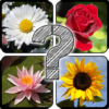 Guess The Flowers: Quiz icon