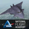 National Flight Academy icon