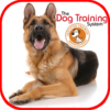 Dog Training icon