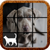 Dog Slide Puzzle icon