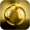 Football Gold Live Wallpaper icon