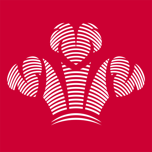 Prince's Trust icon