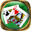 All in One Solitaire icon